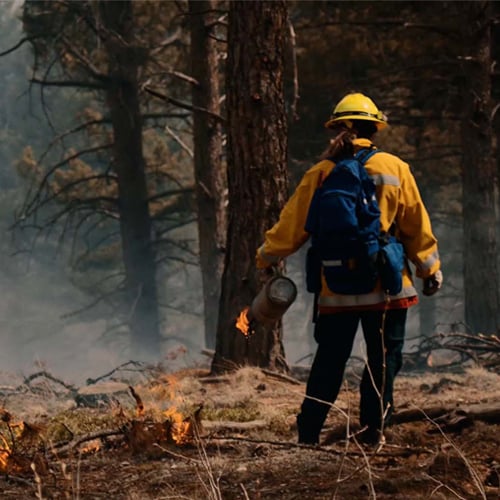Controlled-burn-1.1