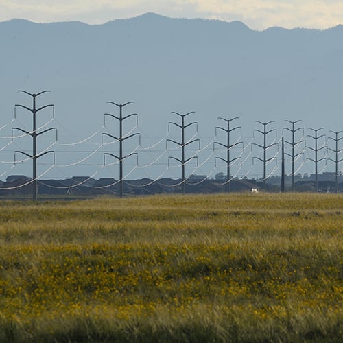 Large transmission lines stretching across a field with yellowish grass and mountains in the background.