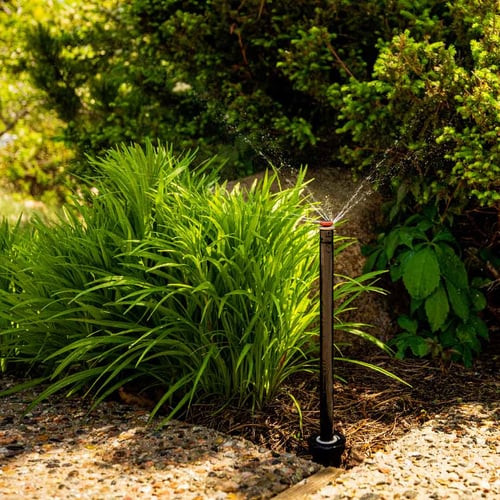 A tall black-stem sprinkler sprays concentrated streams of water from its top into a garden bed next to a sidewalk.
