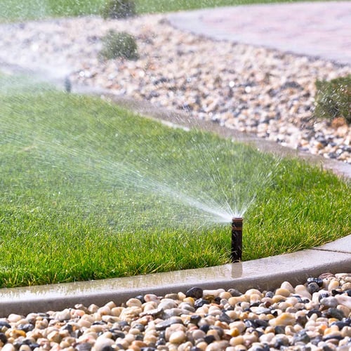 Sprinkler head watering a lawn near a border of rocks and a concrete curb.