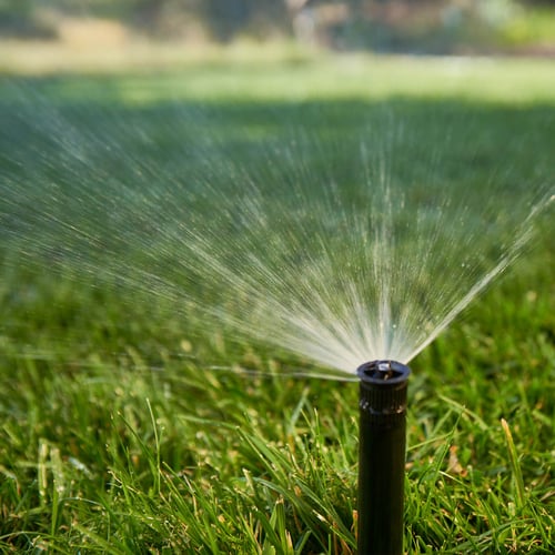 A black in-ground sprinkler head spraying water in a fan-shaped pattern over a green lawn.