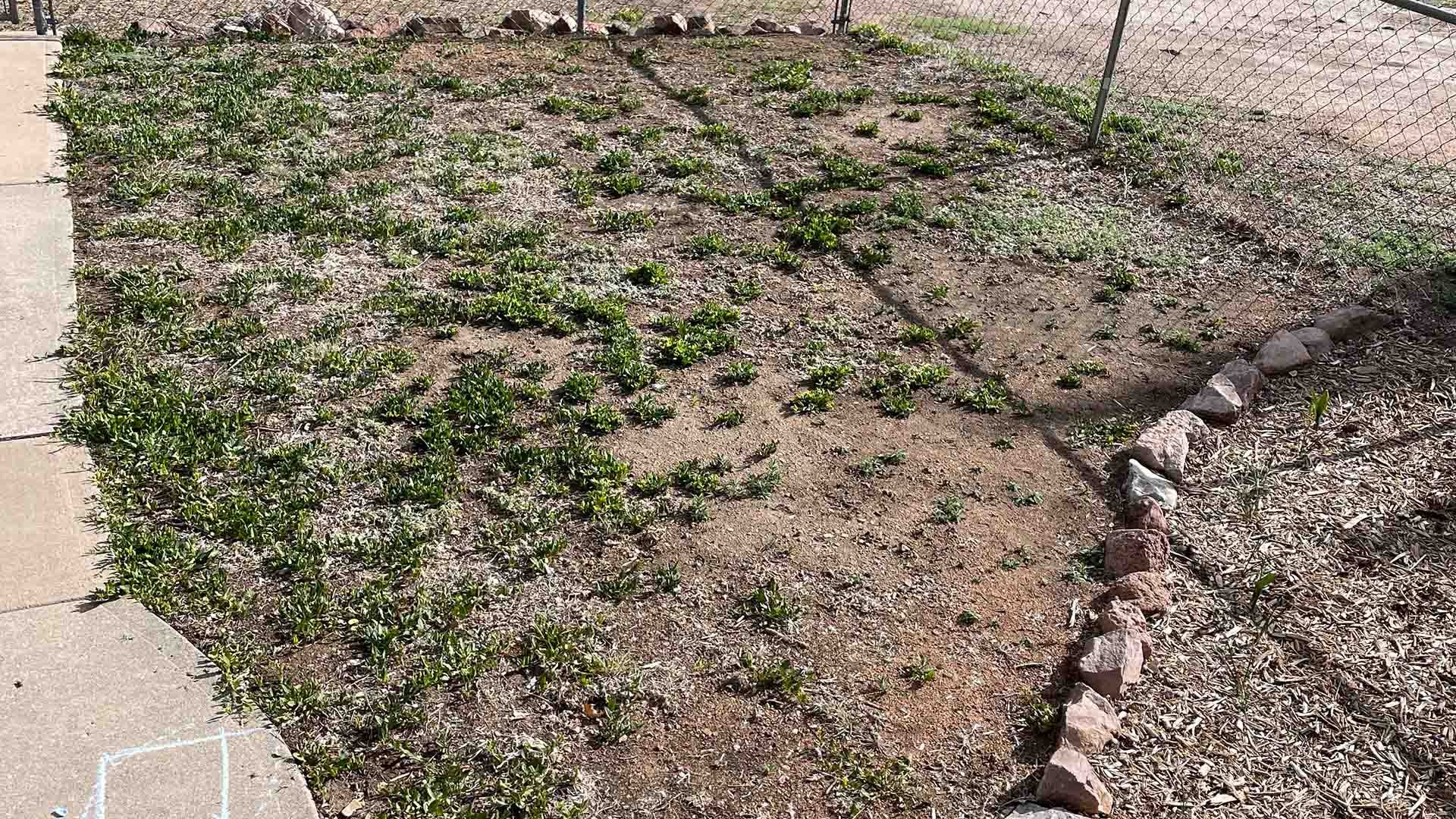 Sparse yard with weeds and large patches of bare soil. There is a concrete walkway on the left and rock border along a garden bed.