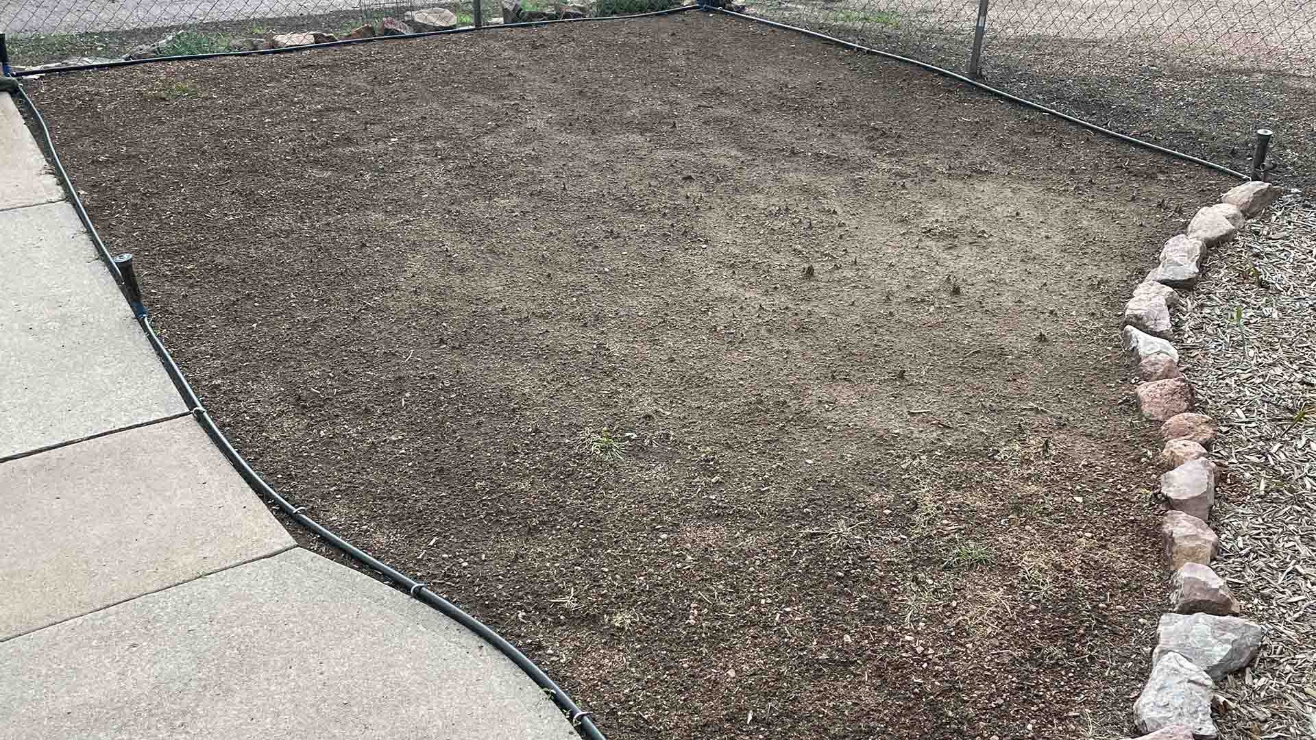 Newly prepared buffalograss planting area covered with soil and compost material, with no visible vegetation.