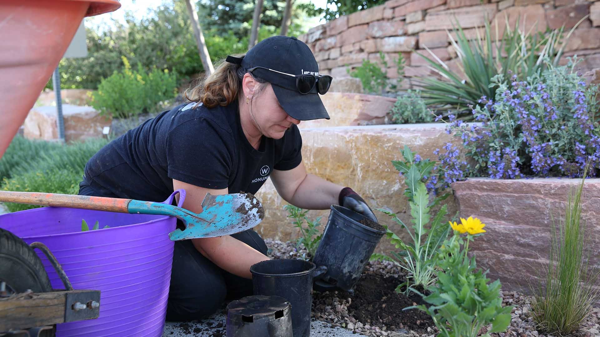 A person plants a leafy plant in a tiered garden with sandstone walls. A small shovel and wheelbarrow are placed next to them.