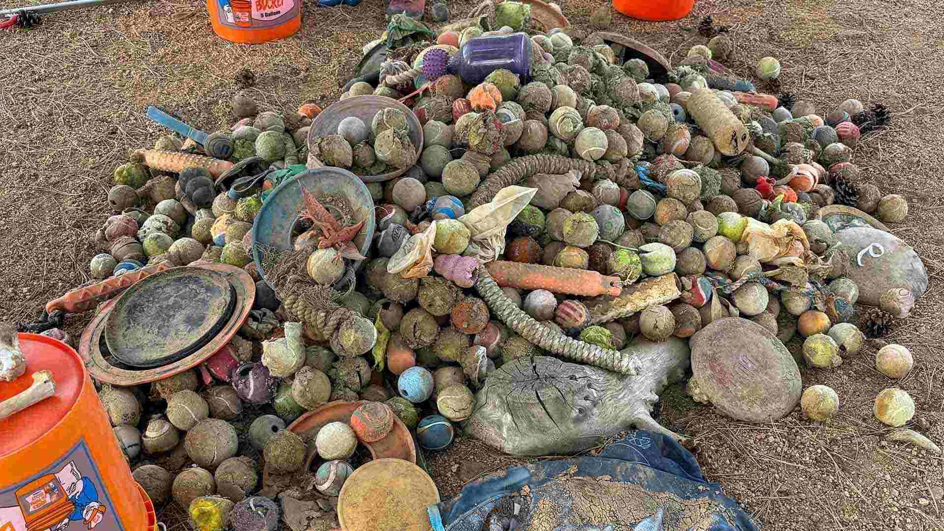 Large pile of dog toys and tennis balls caked in mud after being recovered from the South Suburban Reservoir.
