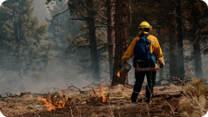 Fire-Mitigation-Controlled-Burn-1920-px-Rounded