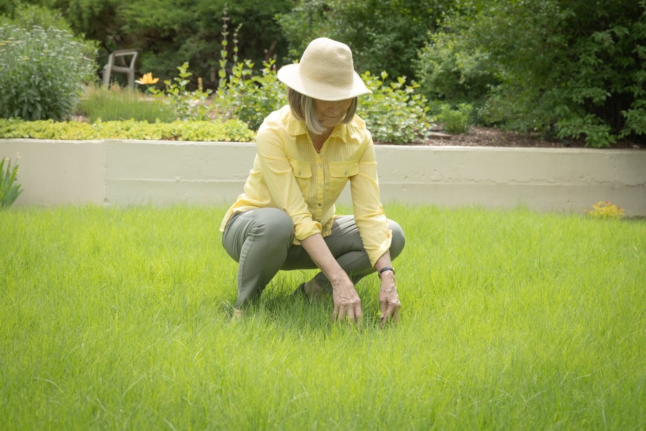 A woman crouched down and pulling a weed from her green lawn.