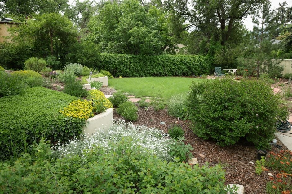 A picture of a backyard, with a garden in the foreground and a green lawn in the background.