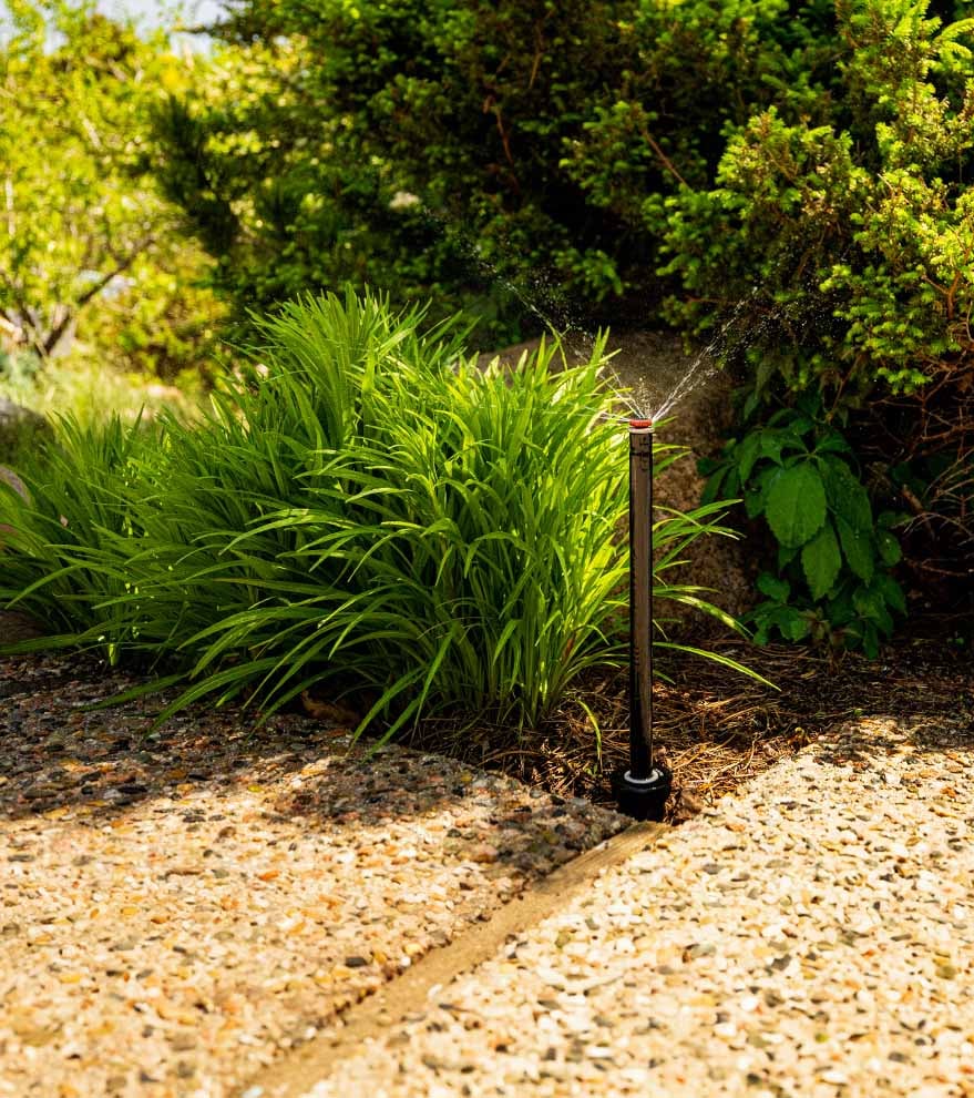 A tall black-stem sprinkler sprays concentrated streams of water from its top into a garden bed next to a sidewalk.
