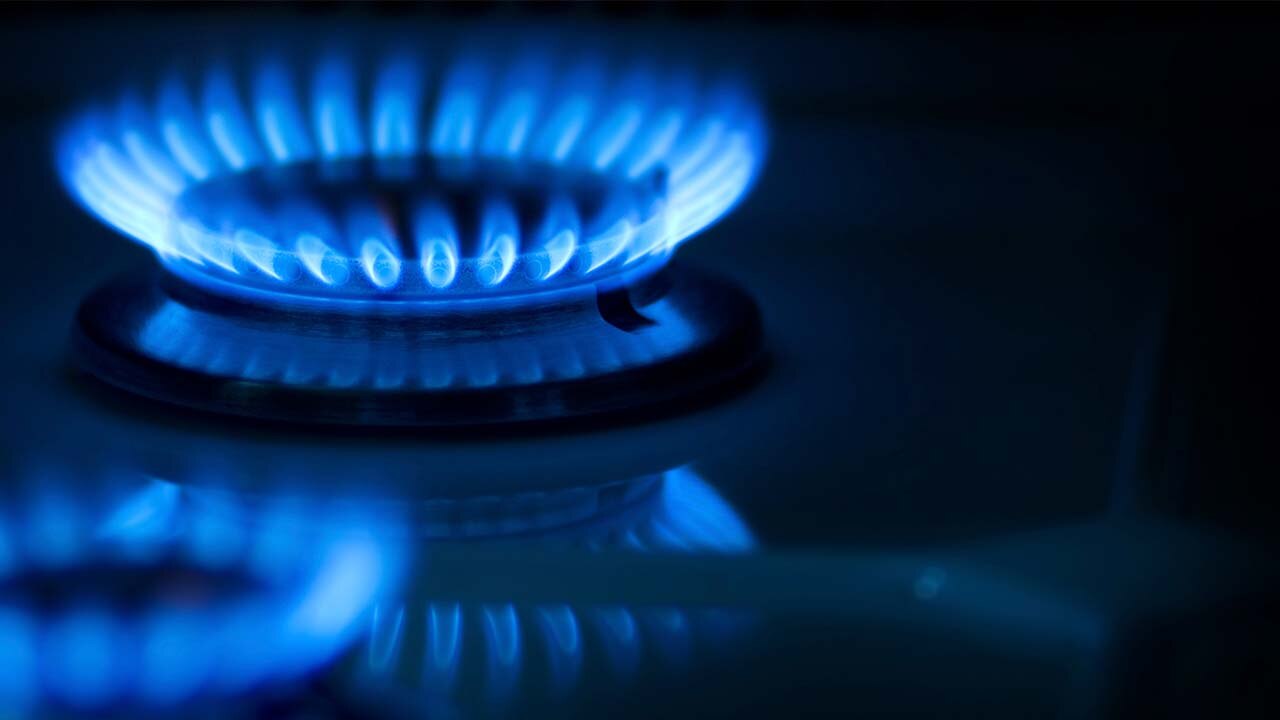 Low blue flames emit from a lit gas stove burner.