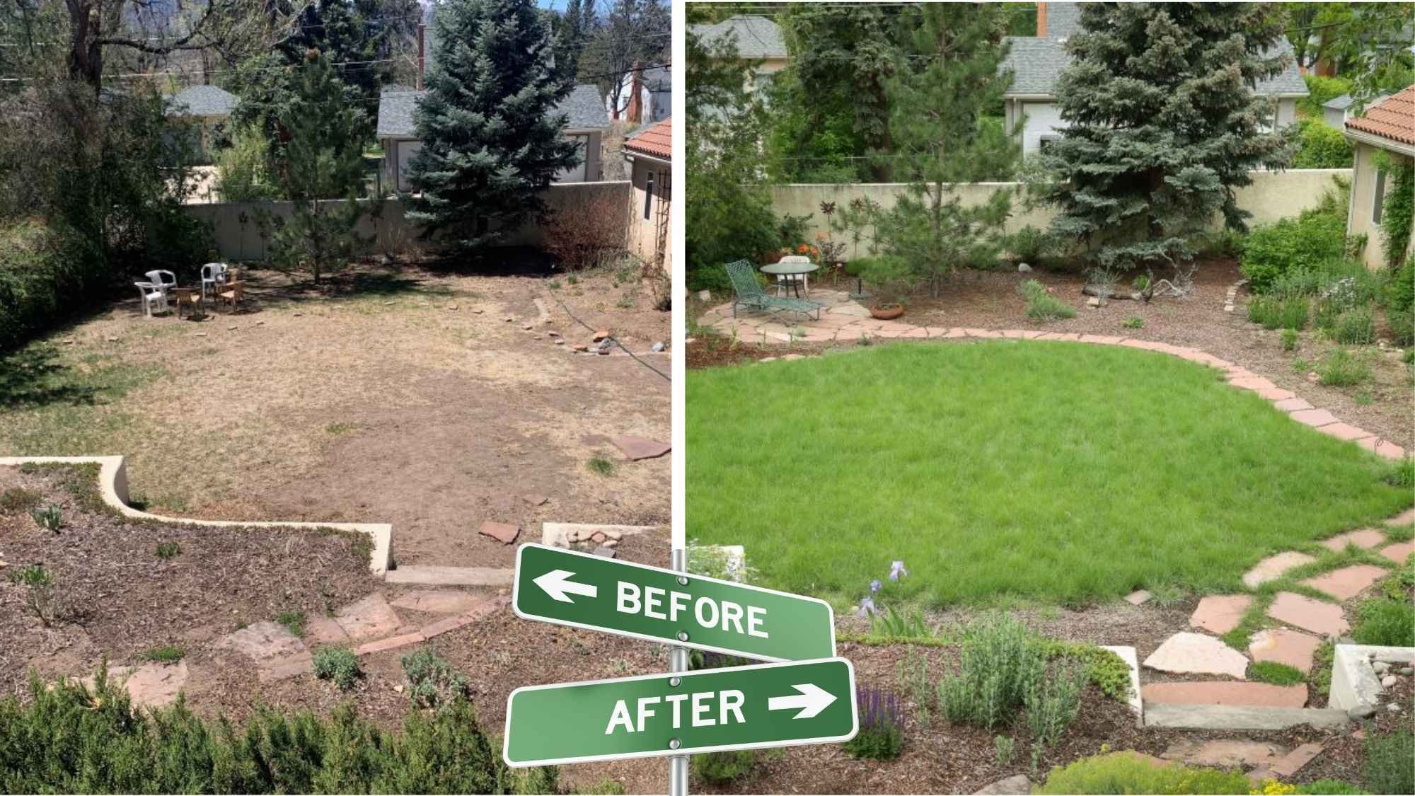 A before and after of a backyard. The before has a lot of dirt and bare spots, the after has a bright green and dense lawn.