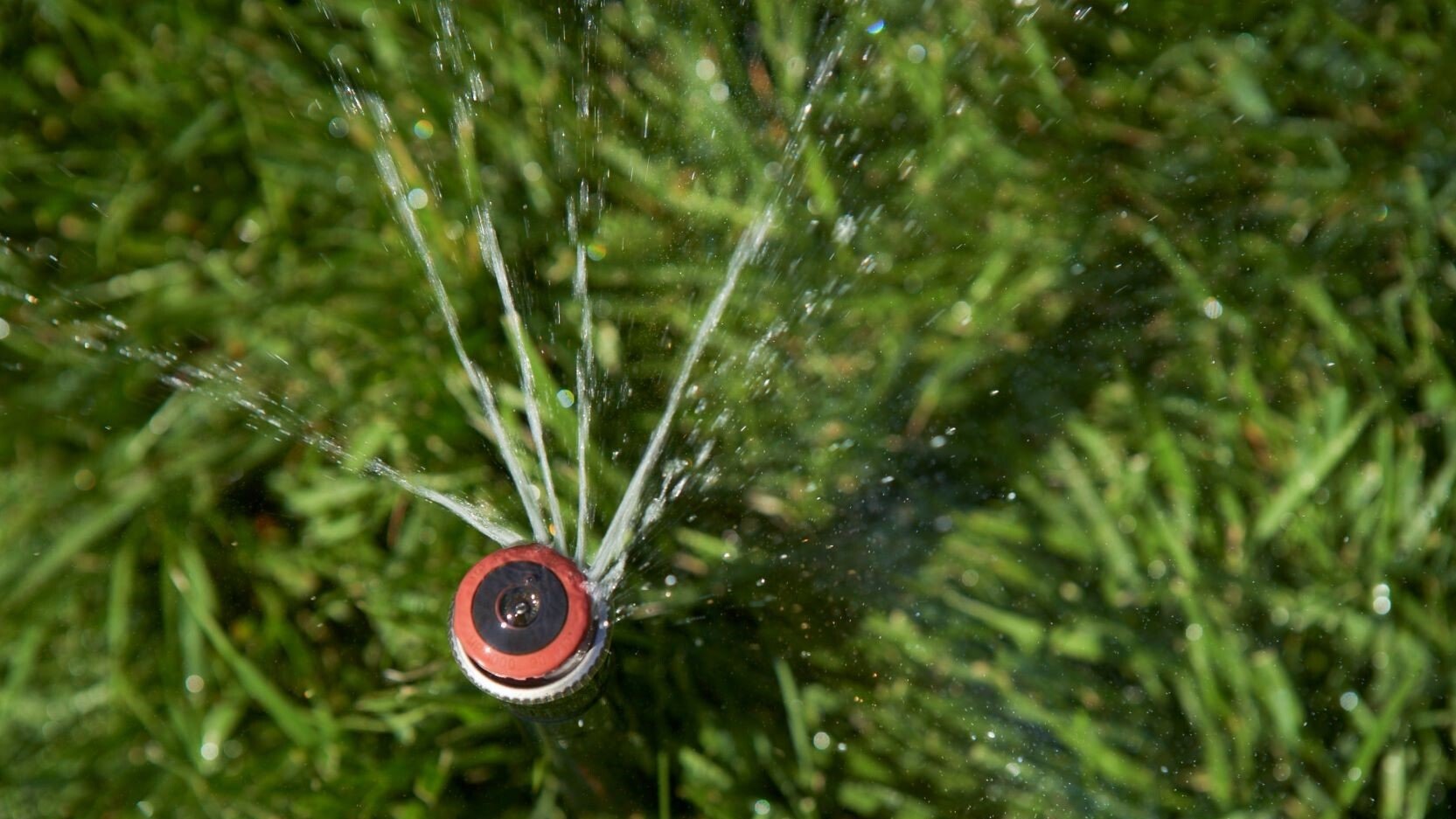 A birds eye view of a high efficiency sprinkler nozzle watering green grass.