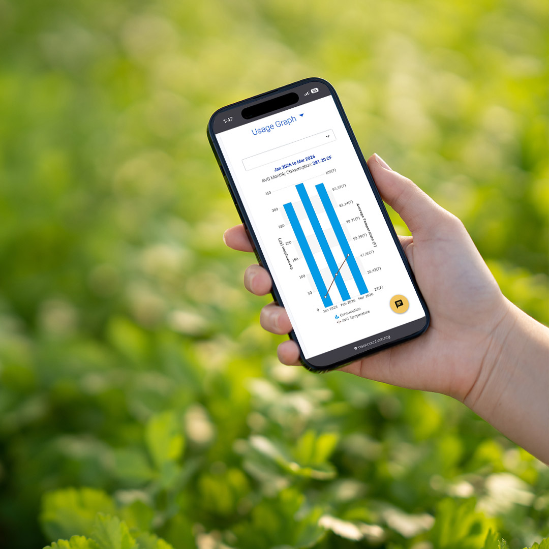 Una persona sostiene su teléfono con la pantalla visible. Muestra un gráfico de uso de líneas azules en un diagrama de barras, que indican información sobre el consumo de agua y una línea roja que muestra la temperatura.