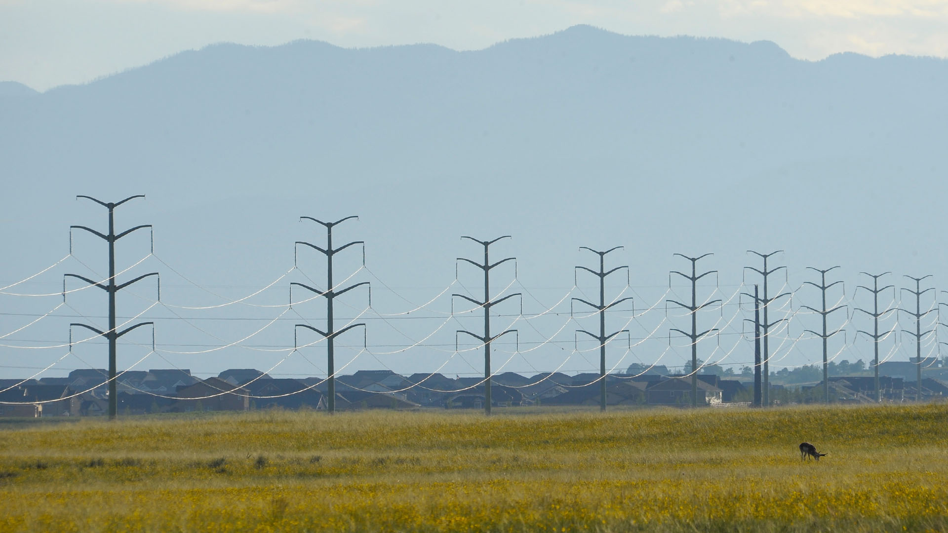 Large power poles and transmission lines in open fields in east Colorado Springs. Mountains are visible in the background.