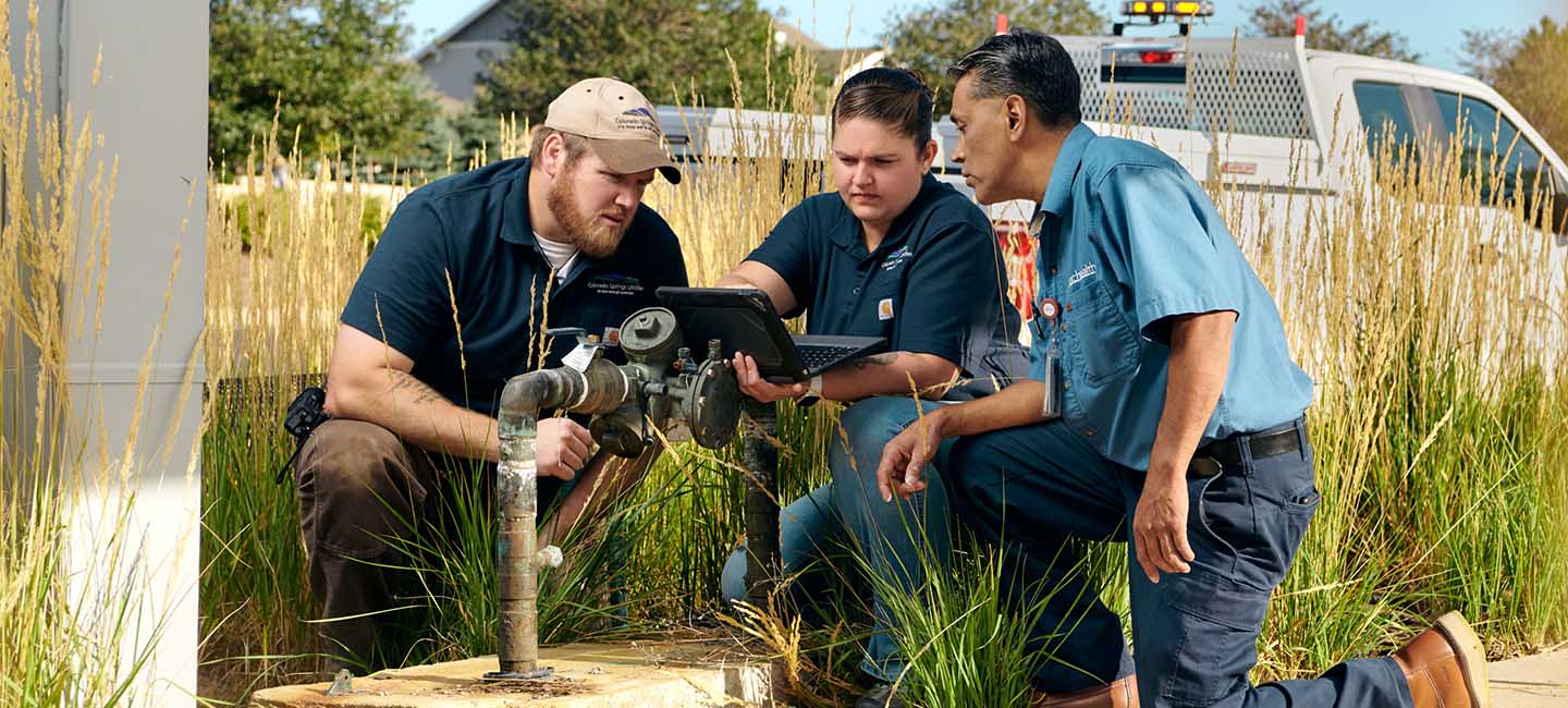 Backflow prevention program